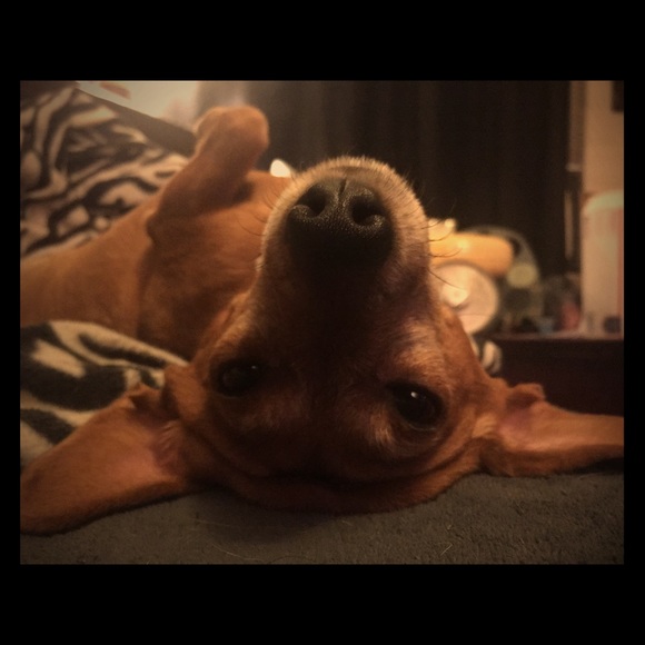 ⚡ MAKE OFFERS⚡ - Picture 6 of 7